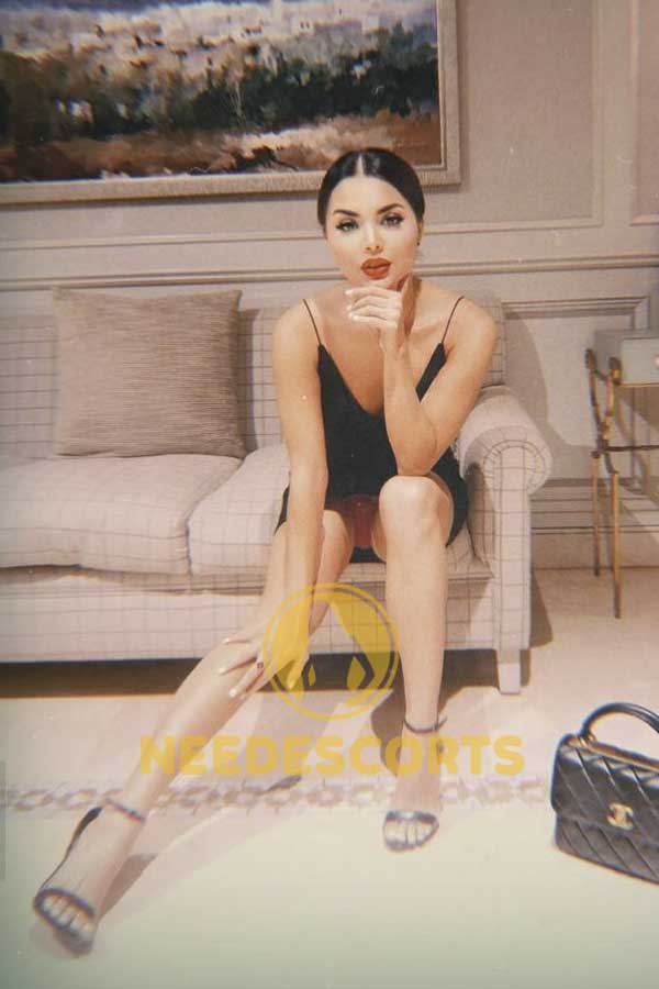 deluxe escorts Dubai, Dubai elite companions, high-class escorts Dubai, Busty escorts Dubai, luxury escorts Dubai, Top models escort Dubai, Models escort Dubai, escort ladies in UAE, Indian Escorts in Dubai, russian escorts UAE