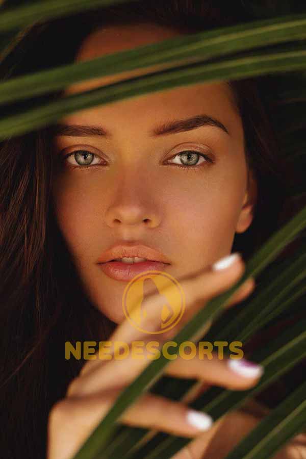 vip escorts in Dubai, deluxe escorts Dubai, vip escort in Dubai, premium Dubai escorts, vip escorts in Dubai, russian escort Dubai, slim escort Dubai, party escorts Dubai, escorts in Dubai